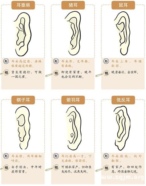 耳相分析|16种耳相图解